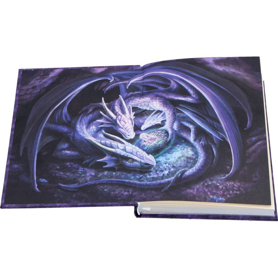 Anne Stokes Welcome Hatchling Journal 17.7cm B7541B26