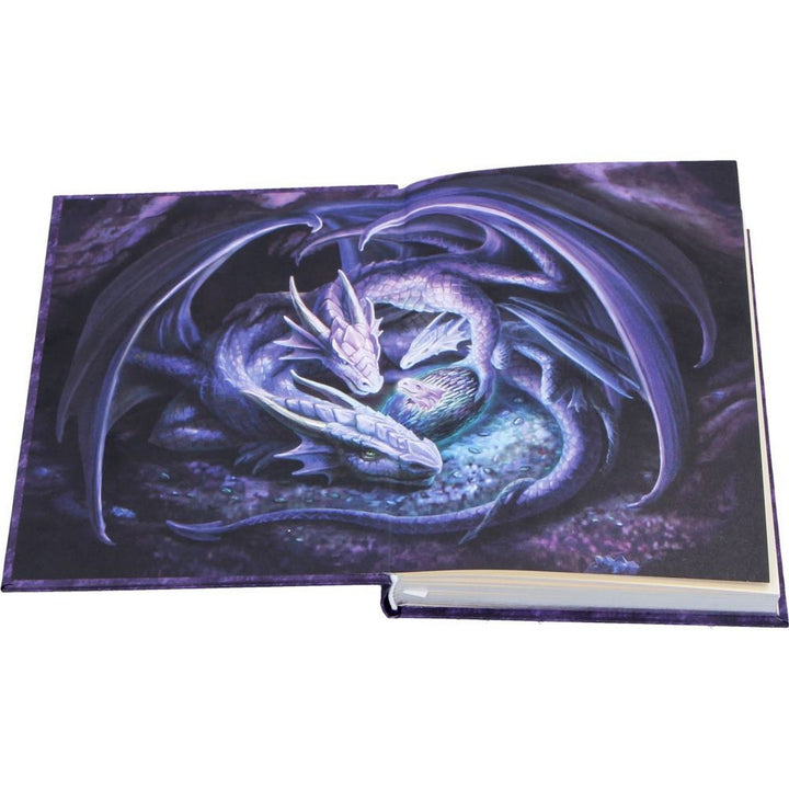 Anne Stokes Welcome Hatchling Journal 17.7cm B7541B26