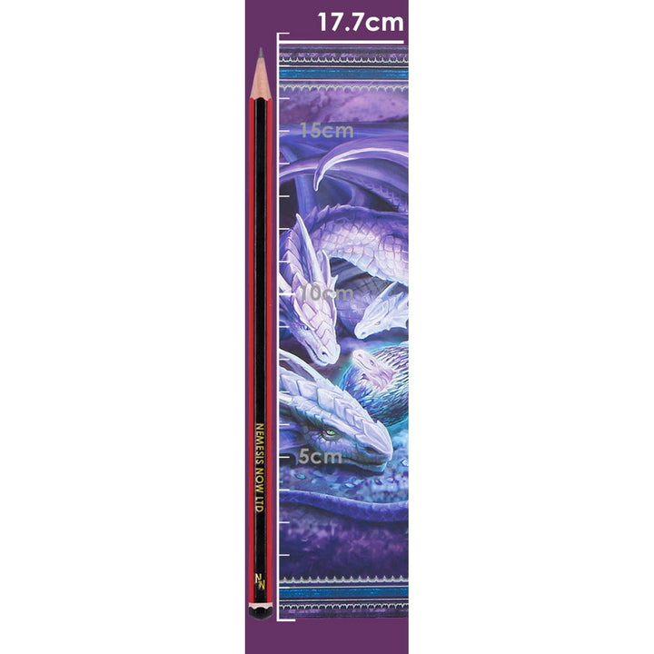 Anne Stokes Welcome Hatchling Journal 17.7cm B7541B26