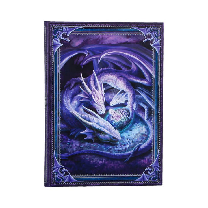 Anne Stokes Welcome Hatchling Journal 17.7cm B7541B26