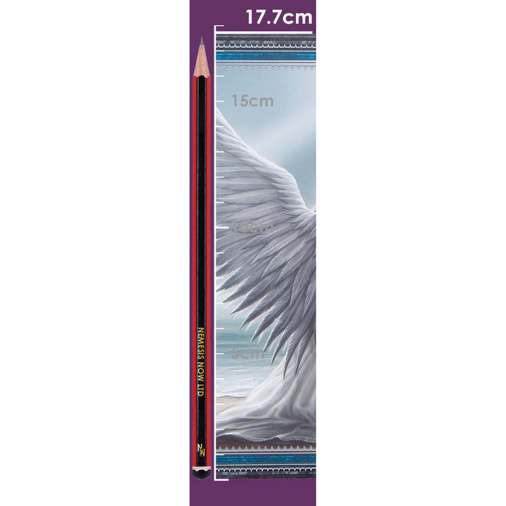 Anne Stokes Spirit Guide Journal 17.7cm B7542B26