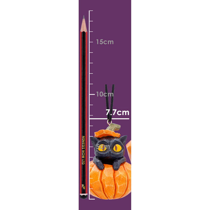Pumpkin and Patch Halloween Hanging Ornaments (Set of 2) 7.7cm B7655B26
