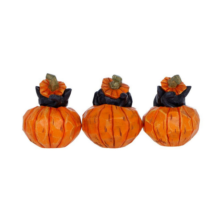 Three Wise Halloween Pumpkin Patch Cats 7.7cm B7663B26