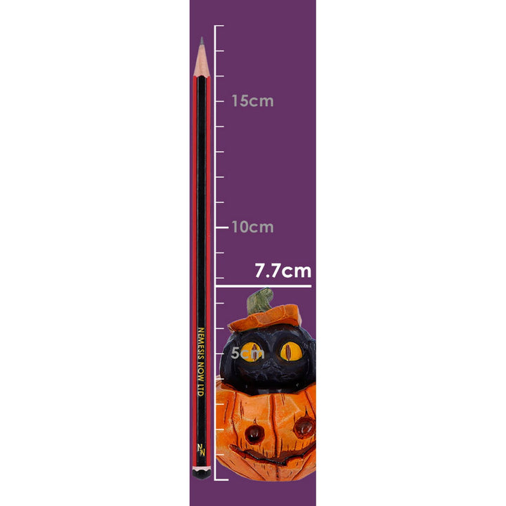 Three Wise Halloween Pumpkin Patch Cats 7.7cm B7663B26