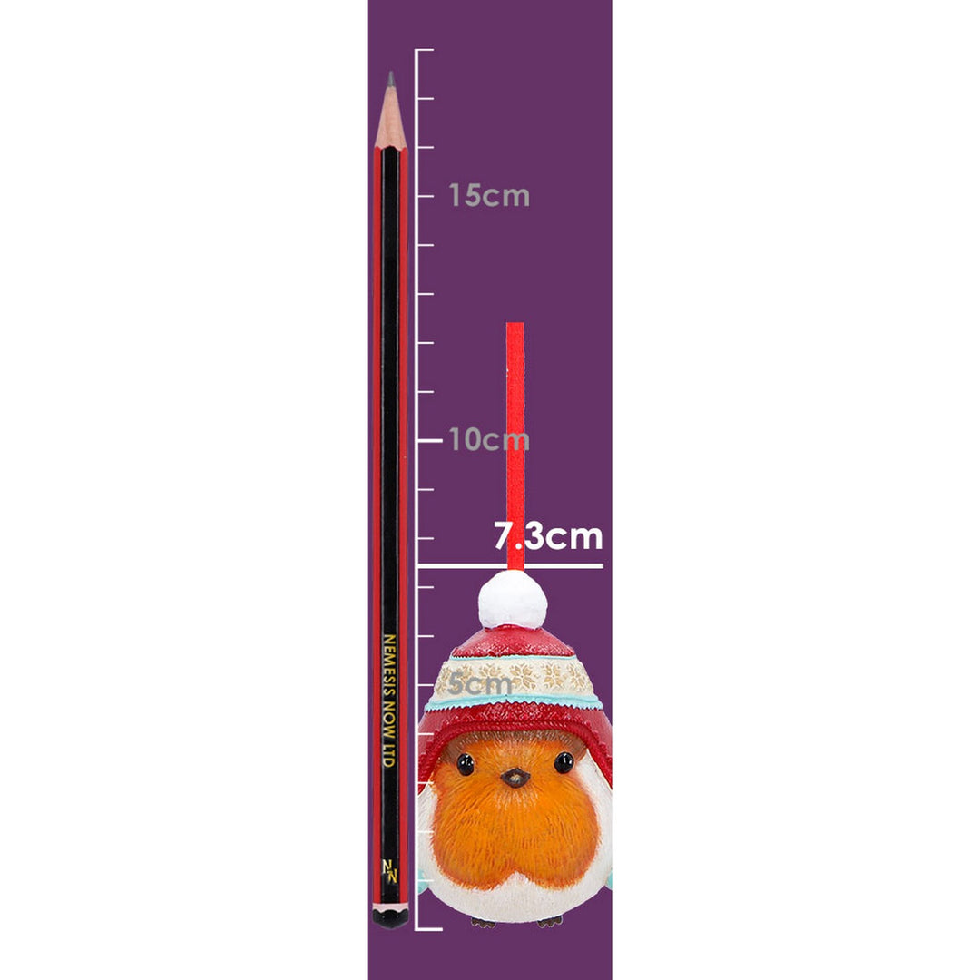 Winter Robin Bobble Hat Hanging Ornament 7.3cm B7670B26