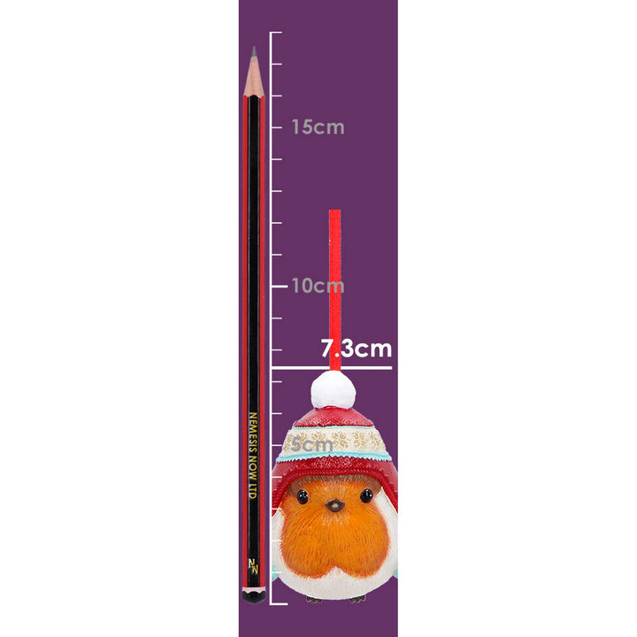 Winter Robin Bobble Hat Hanging Ornament 7.3cm B7670B26