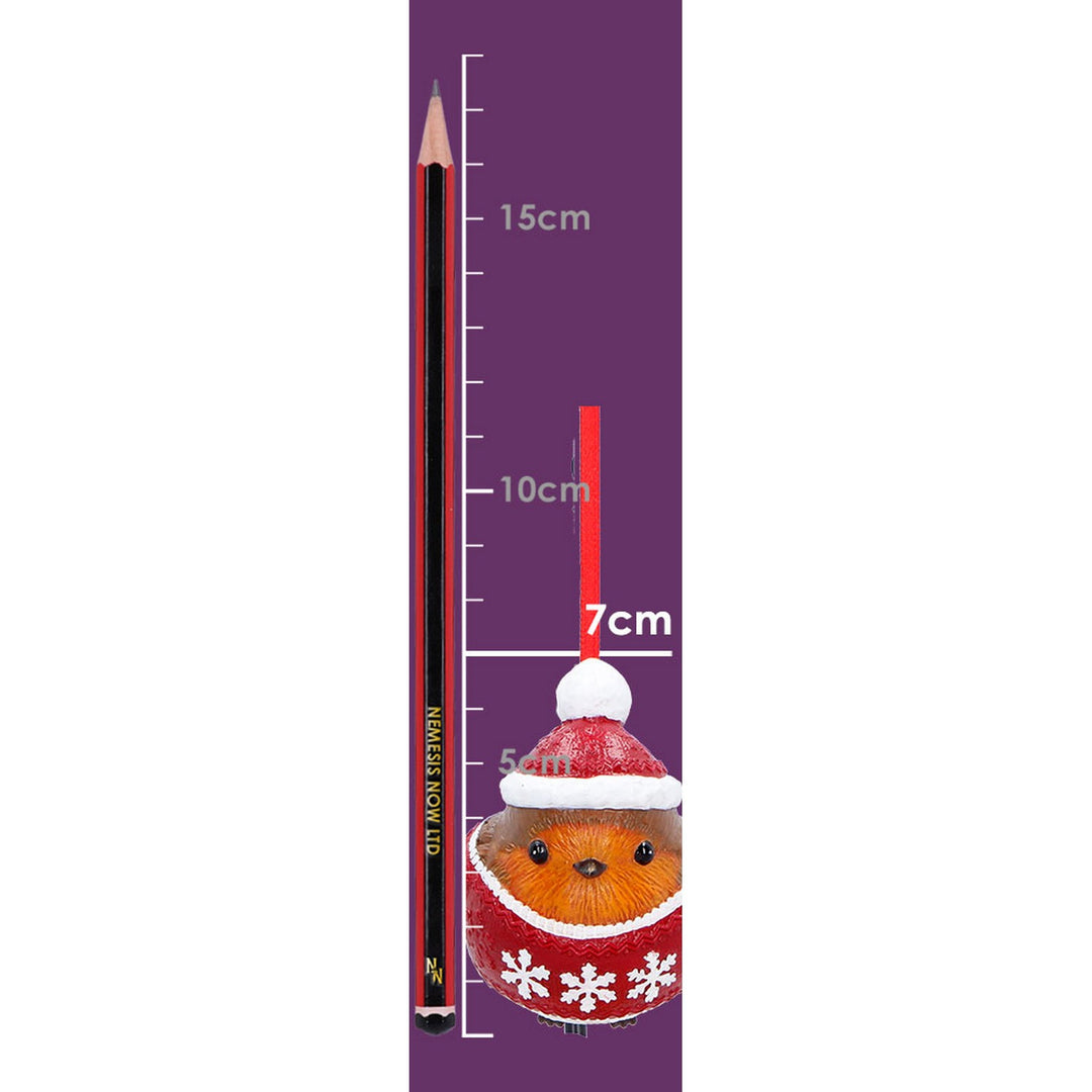 Winter Robin Jumper Hanging Ornament 7cm B7671B26