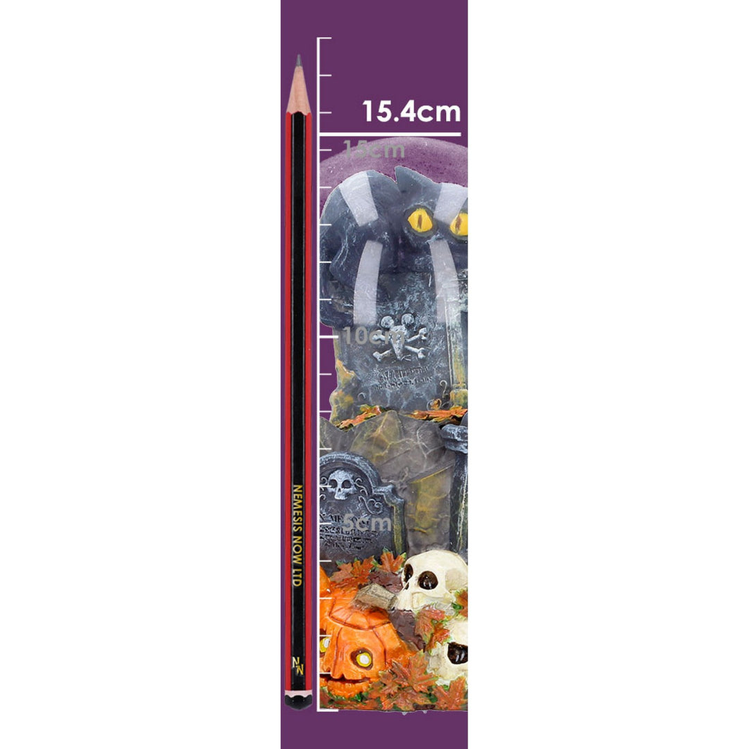 Pumpkin Patch Halloween Cat Snow Globe 15.4cm B7673B26