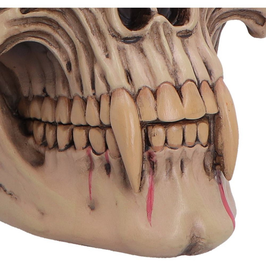 The Lord of the Night Dracula Skull 15.4cm B7706B26
