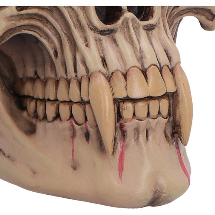 The Lord of the Night Dracula Skull 15.4cm B7706B26