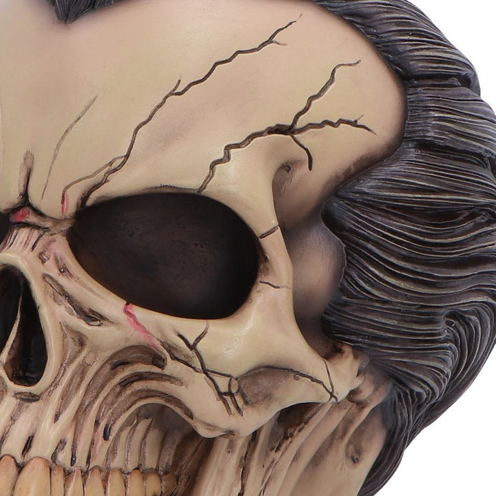 The Lord of the Night Dracula Skull 15.4cm B7706B26