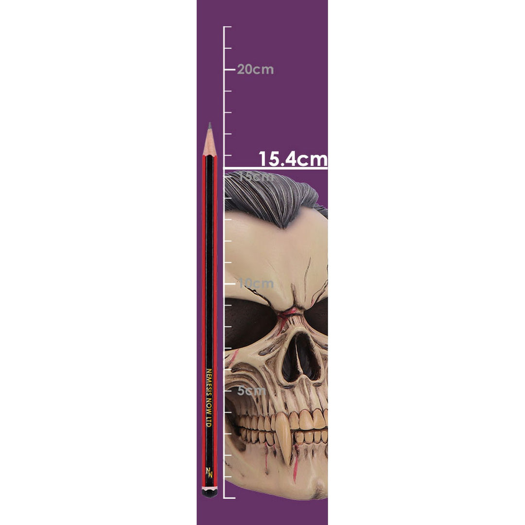 The Lord of the Night Dracula Skull 15.4cm B7706B26