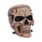 The Monster of Madness Skull 15.1cm B7707B26