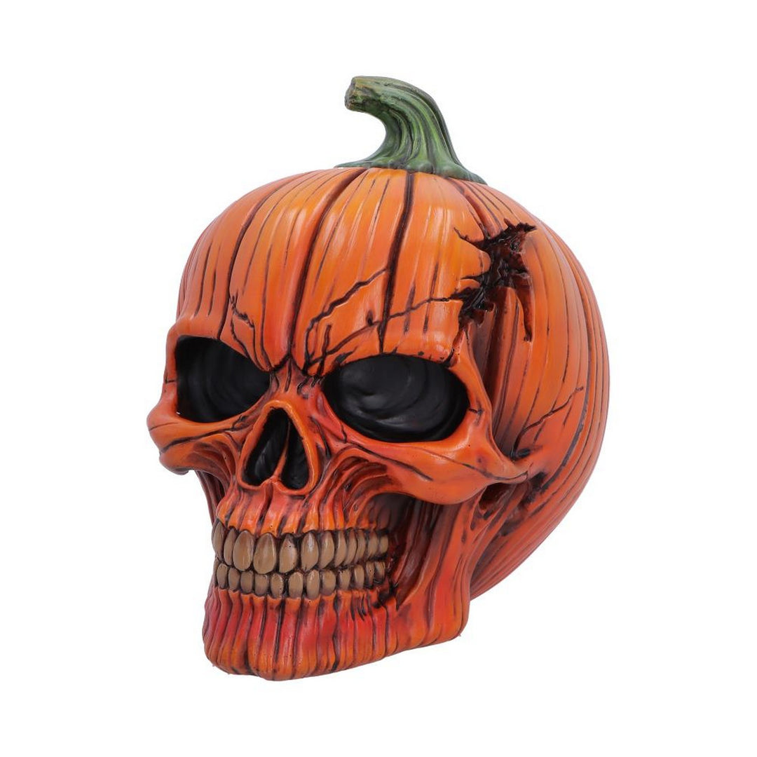 The Spirit of Halloween Pumpkin Skull 17.5cm B7708B26