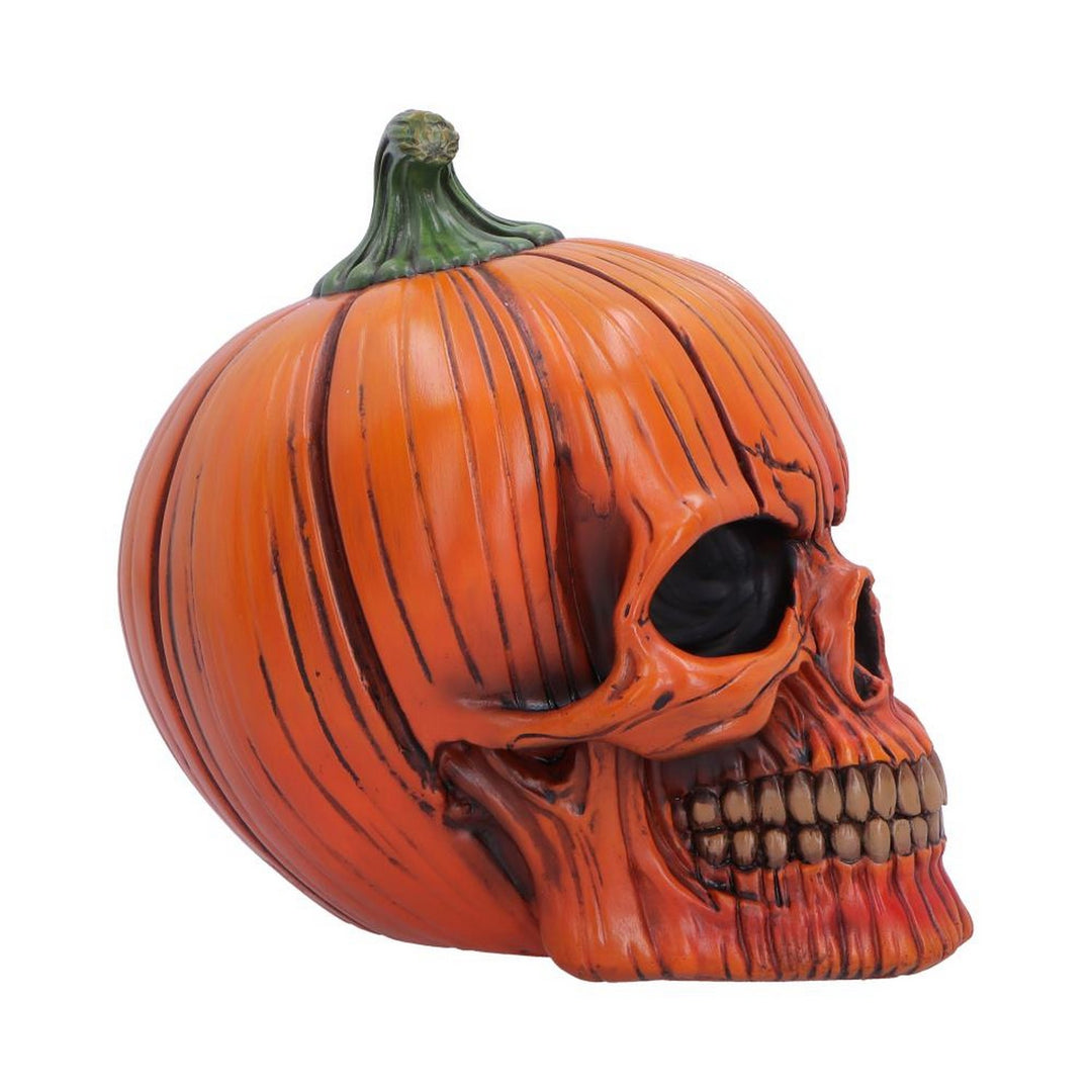 The Spirit of Halloween Pumpkin Skull 17.5cm B7708B26