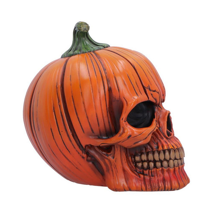 The Spirit of Halloween Pumpkin Skull 17.5cm B7708B26