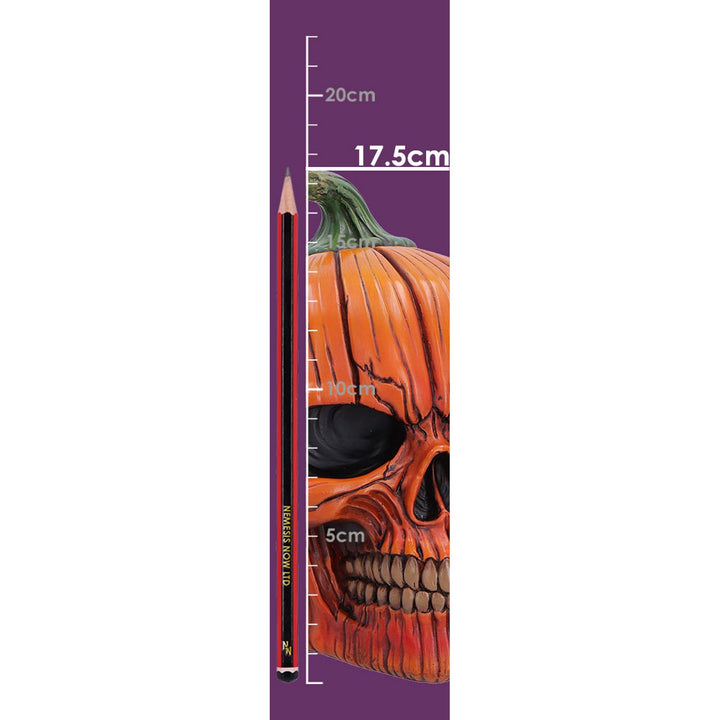 The Spirit of Halloween Pumpkin Skull 17.5cm B7708B26