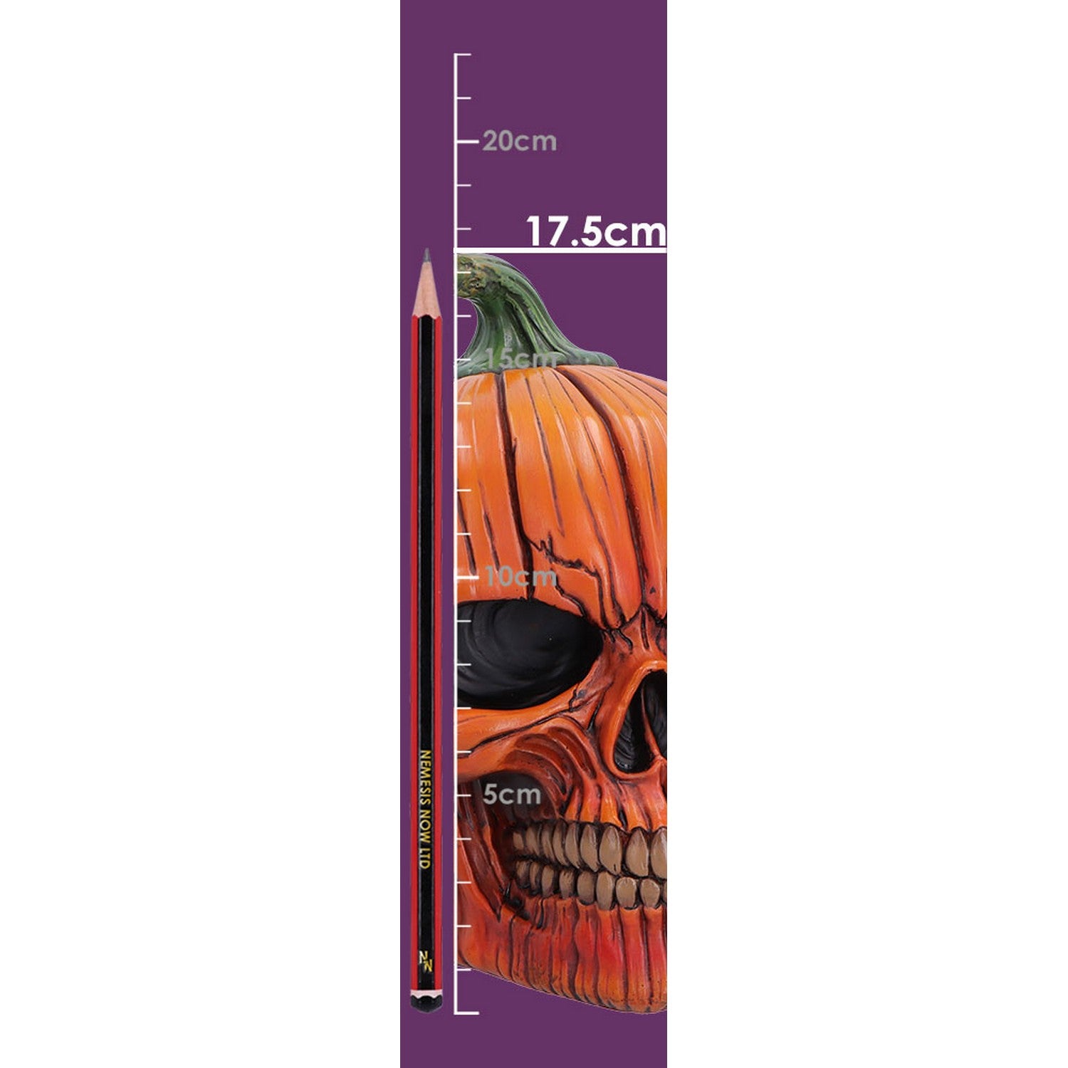 The Spirit of Halloween Pumpkin Skull 17.5cm B7708B26
