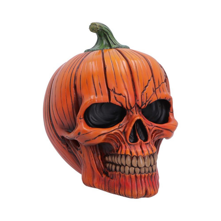 The Spirit of Halloween Pumpkin Skull 17.5cm B7708B26