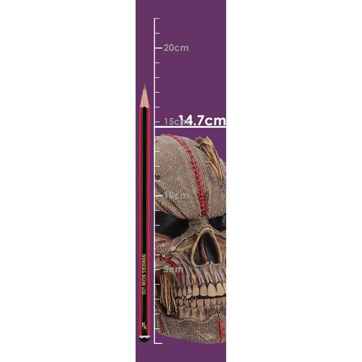 The Keeper of the Harvest Scarecrow Skull 14.7cm B7709B26
