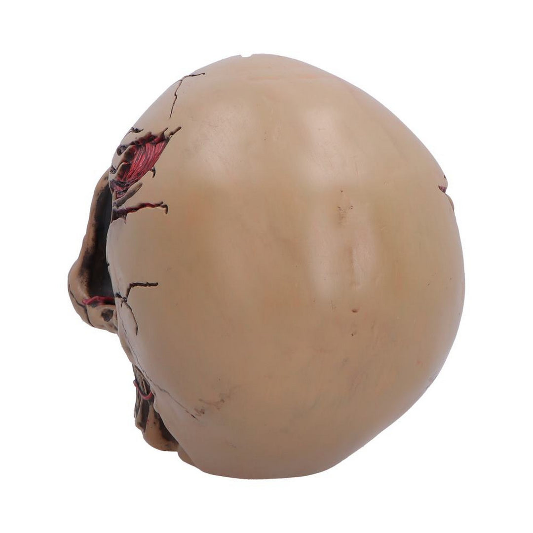The Walker of Death Zombie Skull 15.5cm B7711B26