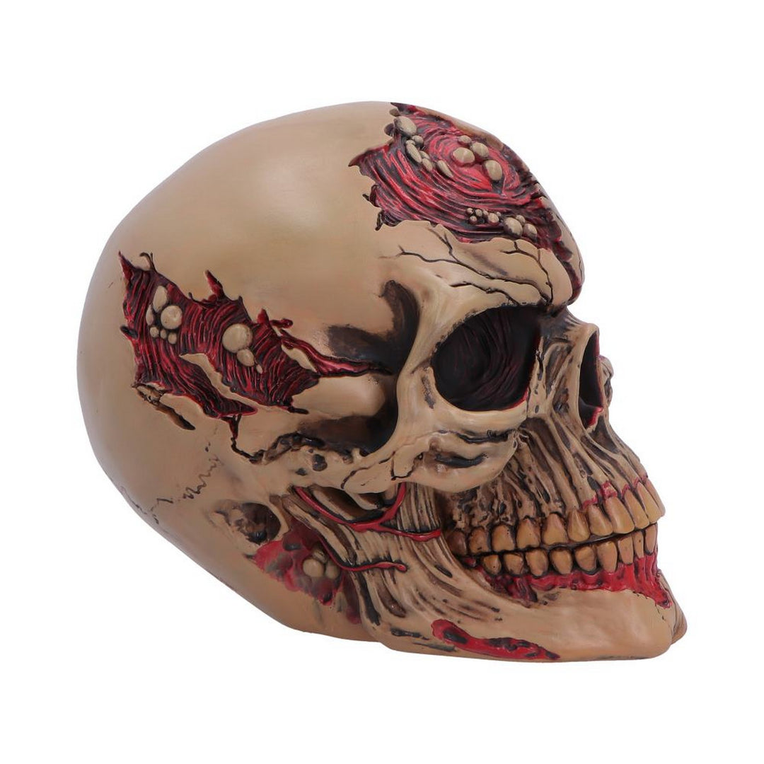 The Walker of Death Zombie Skull 15.5cm B7711B26