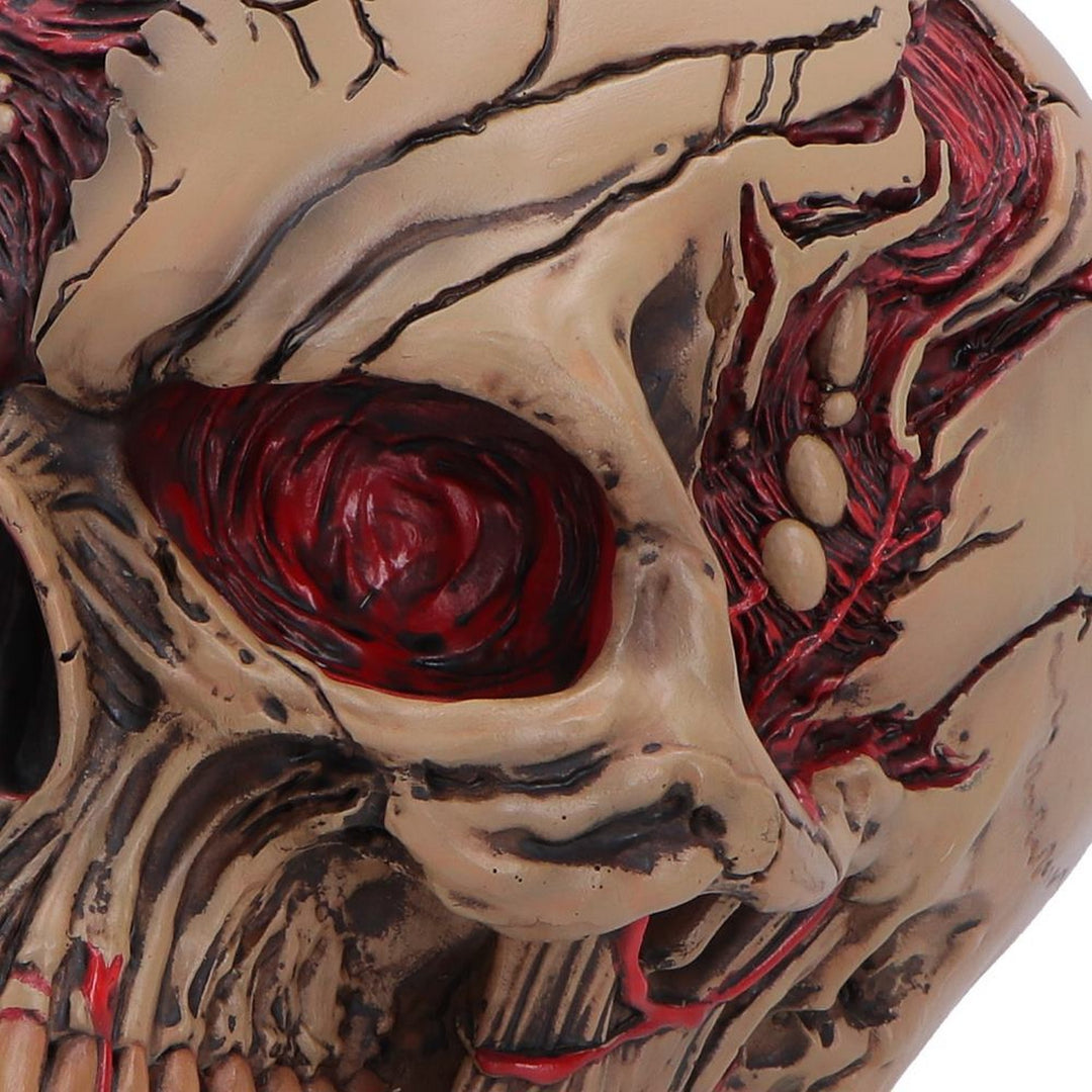 The Walker of Death Zombie Skull 15.5cm B7711B26