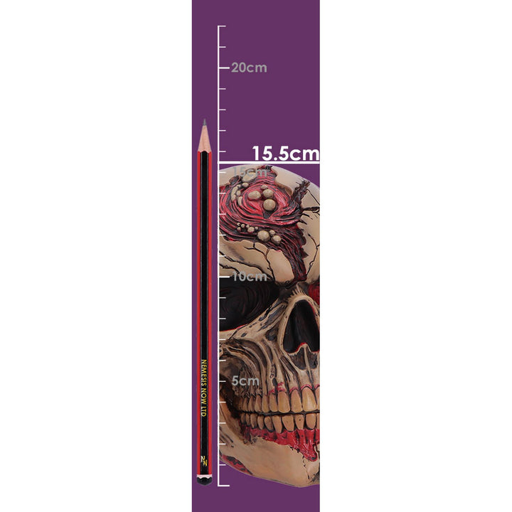 The Walker of Death Zombie Skull 15.5cm B7711B26