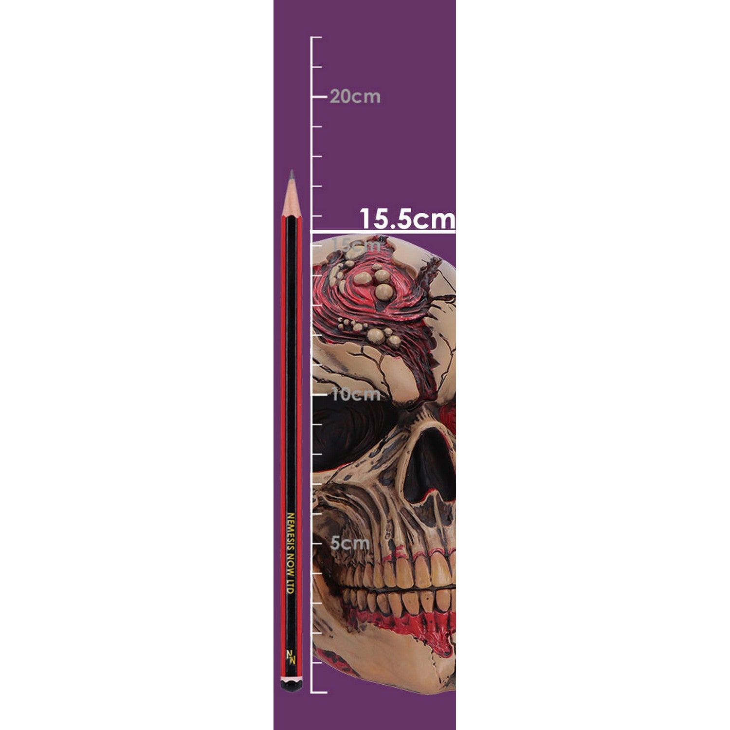 The Walker of Death Zombie Skull 15.5cm B7711B26