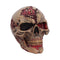 The Walker of Death Zombie Skull 15.5cm B7711B26