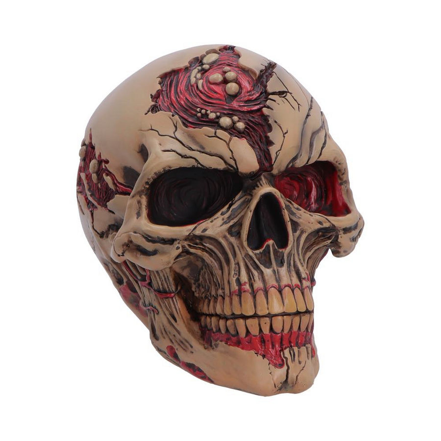 The Walker of Death Zombie Skull 15.5cm B7711B26