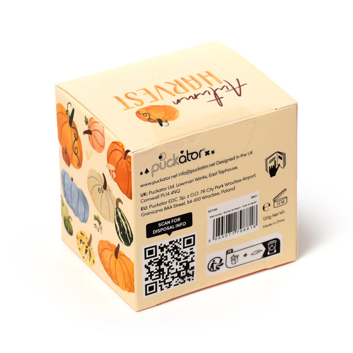 Autumn Harvest Pumpkin Shaped Bath Bomb in Gift Box BATH86