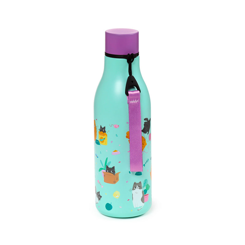 Beans & Co Cats Hot & Cold Drinks Bottle 500ml BOT363