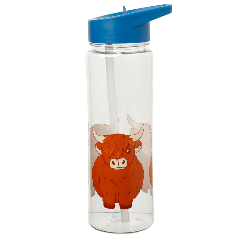 550ml Water Bottle Highland Coo Cow BOT95