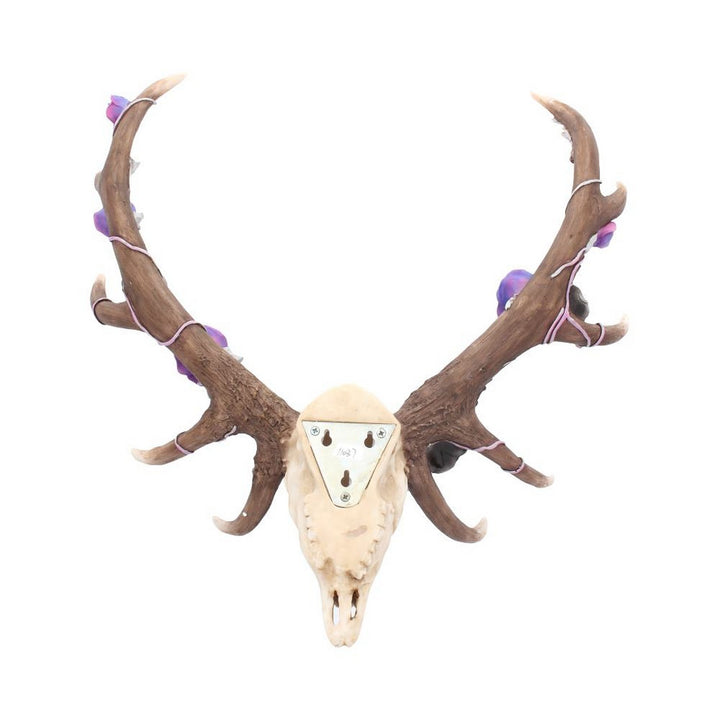 Antlers of Eden Floral Decorated Animal Deer Skull C4035M8