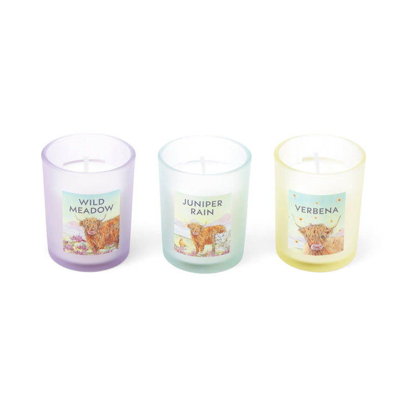 Jan Pashley Highland Coo Cow Votive Scented Candle CAND112