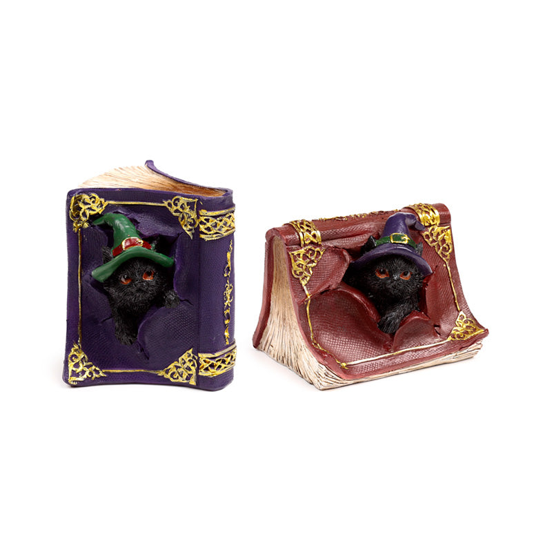 Witches Magical Black Cat Mischievous Spell Book CAT201