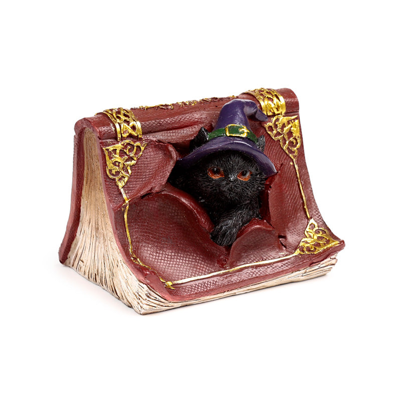 Witches Magical Black Cat Mischievous Spell Book CAT201