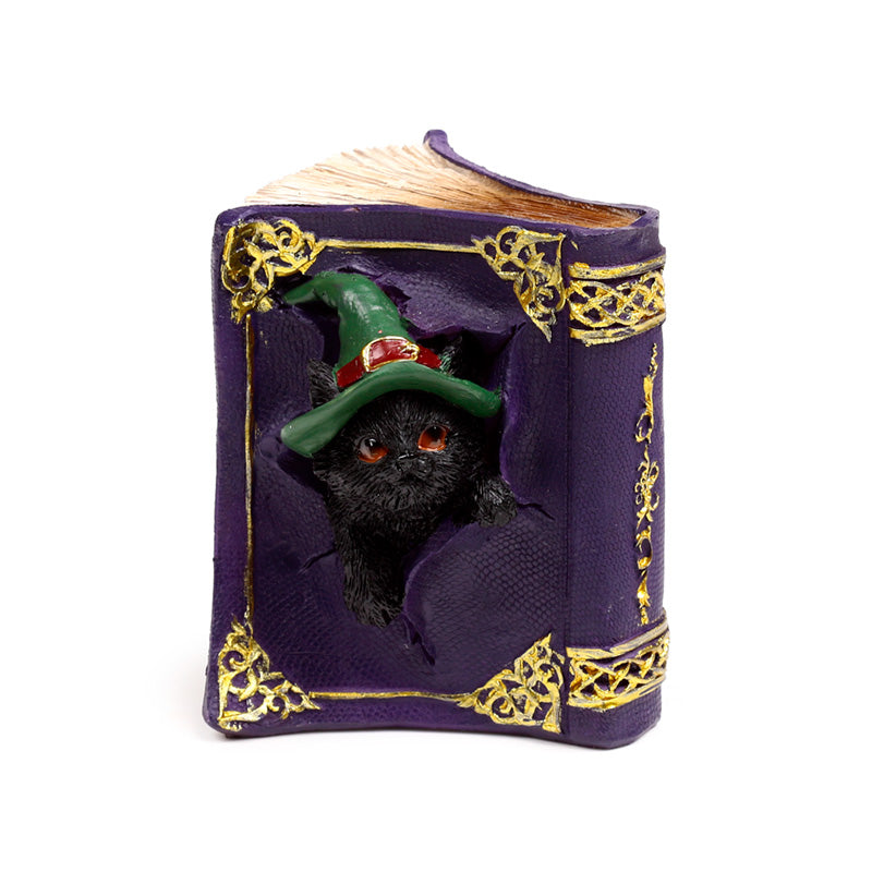 Witches Magical Black Cat Mischievous Spell Book CAT201
