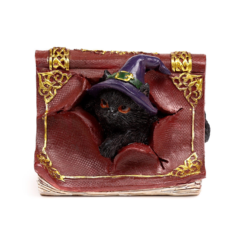 Witches Magical Black Cat Mischievous Spell Book CAT201