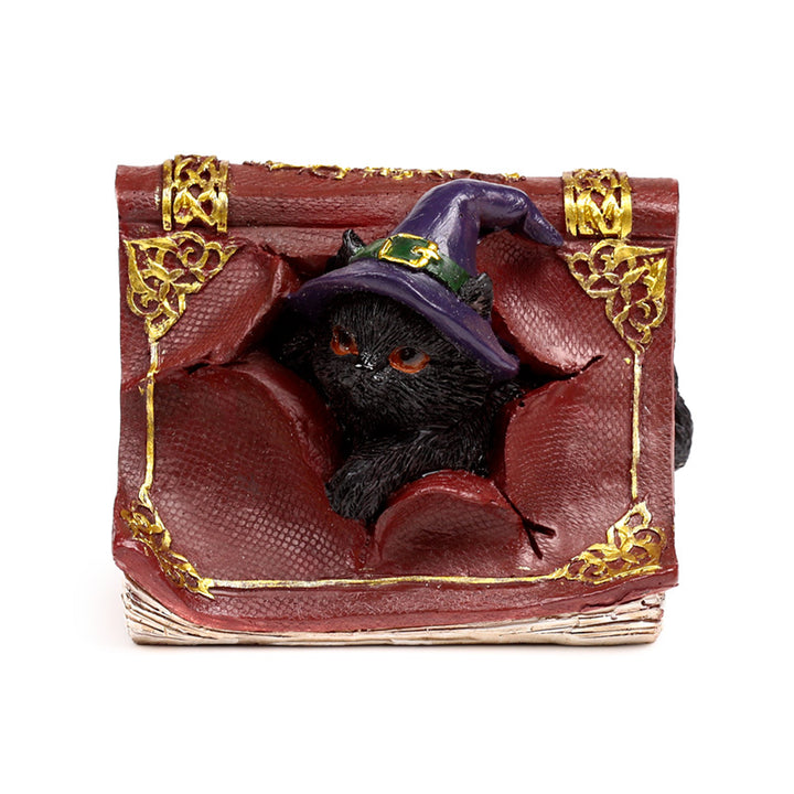 Witches Magical Black Cat Mischievous Spell Book CAT201
