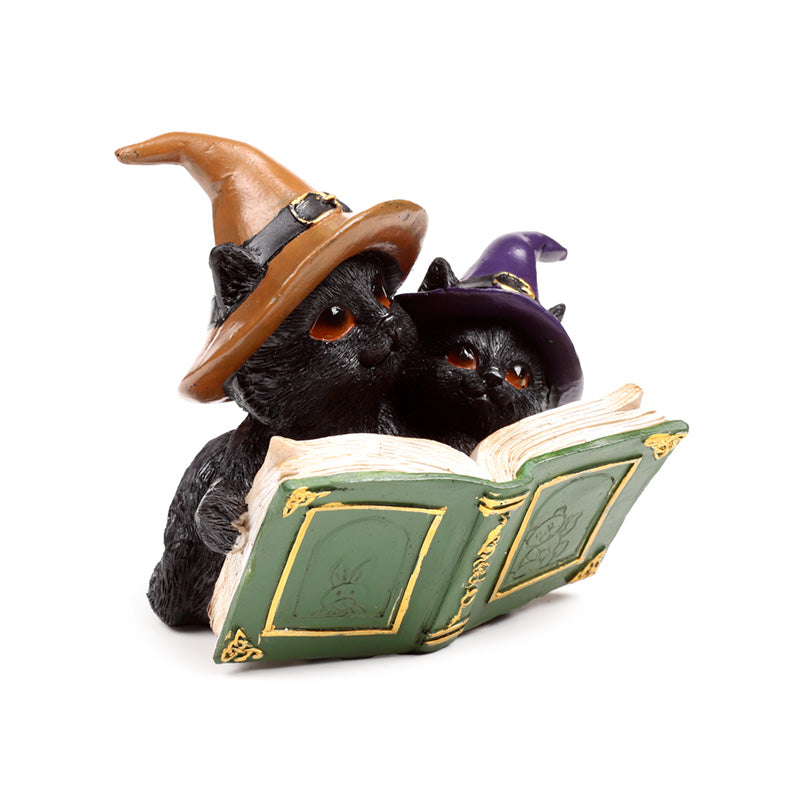 Witches Magical Black Cat Spell Book CAT202