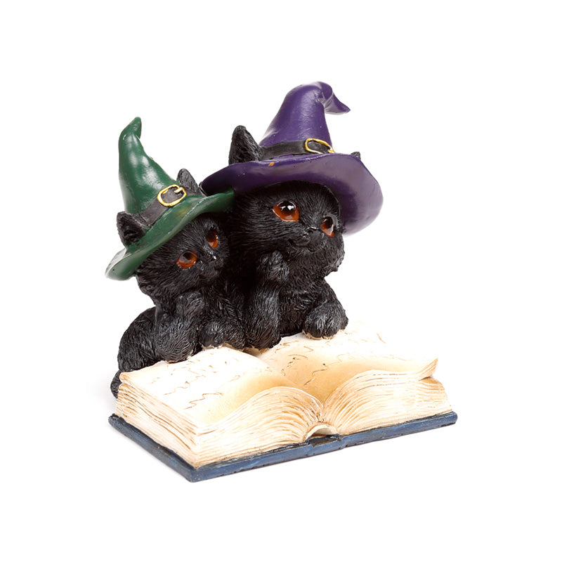Witches Magical Black Cat Spell Book CAT202