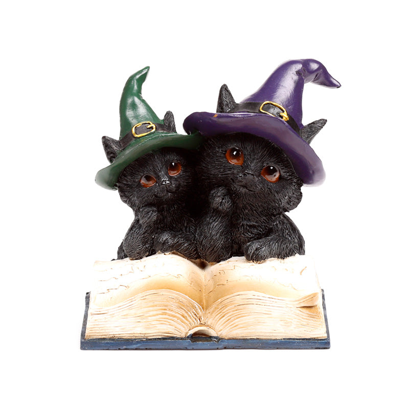 Witches Magical Black Cat Spell Book CAT202