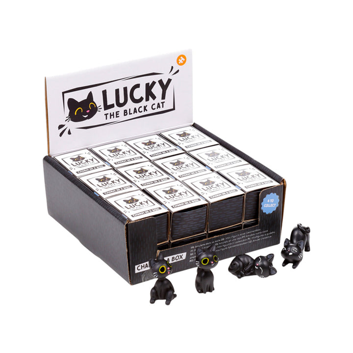 Lucky the Black Cat Charm in a Box CAT204