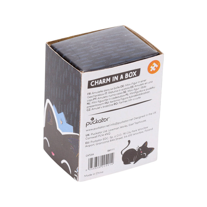 Lucky the Black Cat Charm in a Box CAT204