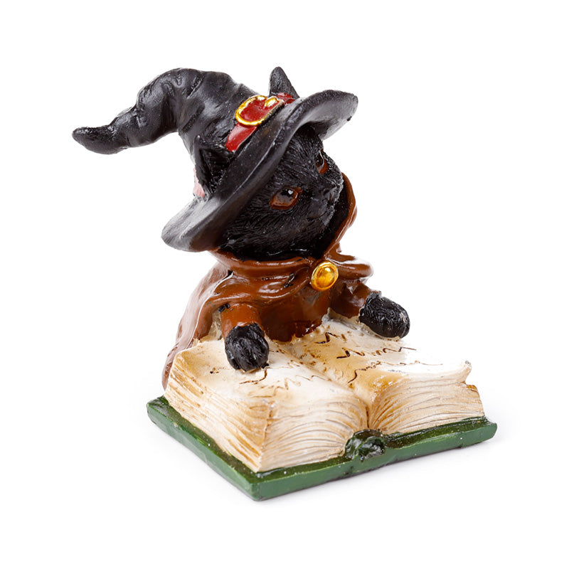 Witches Magical Black Cat Reading from Spell Book CAT205