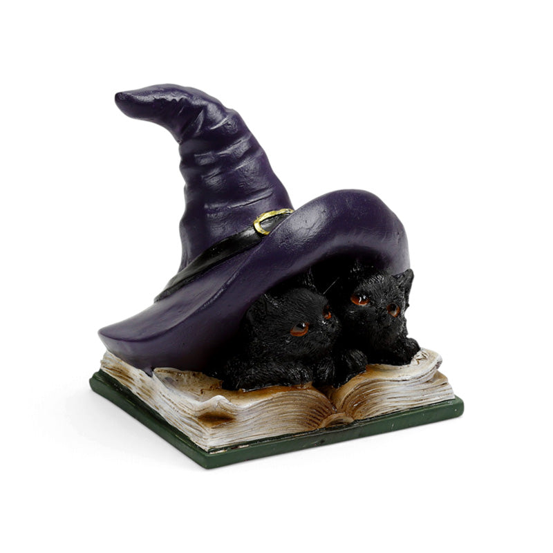 Witches Magical Black Cats Learning Spells CAT207