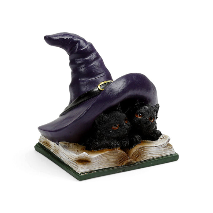 Witches Magical Black Cats Learning Spells CAT207