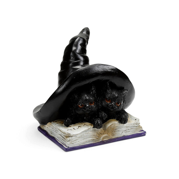 Witches Magical Black Cats Learning Spells CAT207